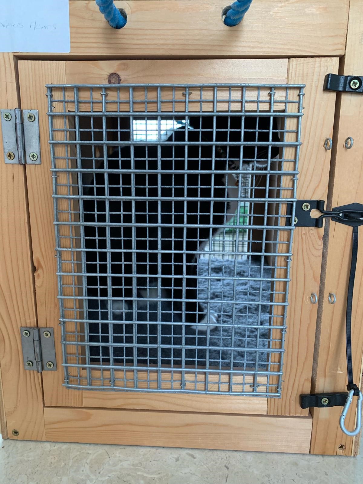Socks in crate